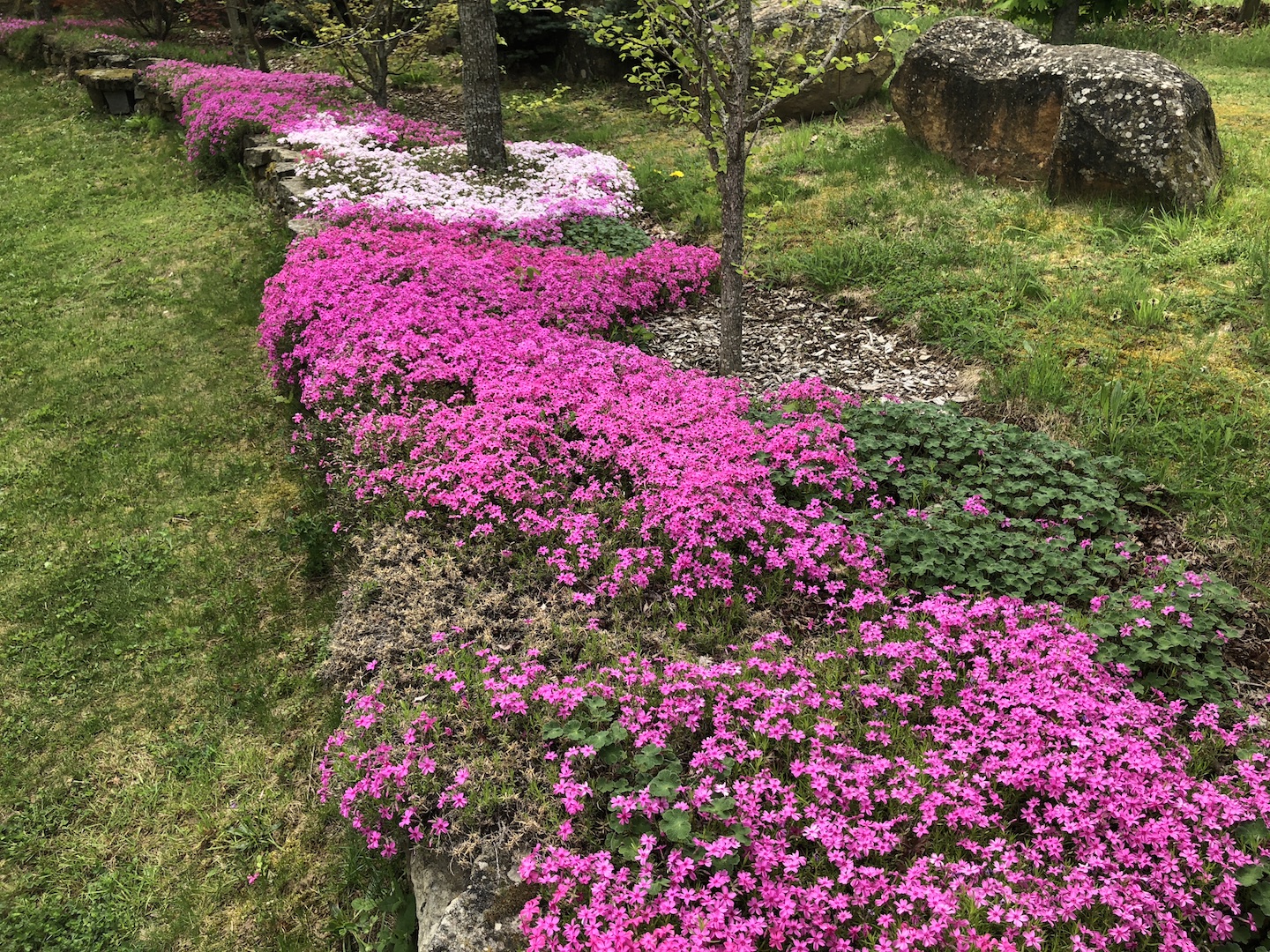 Un joli parterre