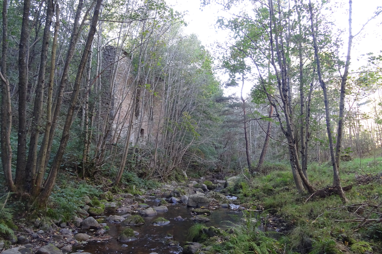 La ruine du vieux moulin, en amont de Chamblard